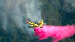 Fiamme sul Monte Amariana, fumo visibile in tutta la Carnia: in azione il canadair ad Amaro e Tolmezzo