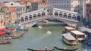 Le immagini del delfino che nuota in Canal Grande a Venezia