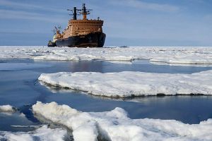 В Арктике открыт моллюск, живущий на метановых «факелах»