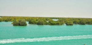 Iran oil spill: the war is leaving environmental scars that ceasefires cannot heal