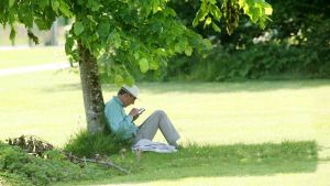 How trees can help Cork city cope with more heat
