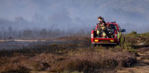 There’s nothing ‘wild’ about most wildfires – humans start them and have made them more dangerous