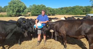 Farmers urged to vaccinate animals against 'devastating' bluetongue threat