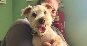 Dog, 11, who 'hasn't got to experience much in life' needs loving new home