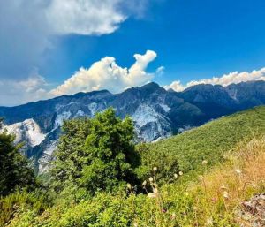 Boschi, mulattiere e sentieri: benvenuti sul Monte Brugiana