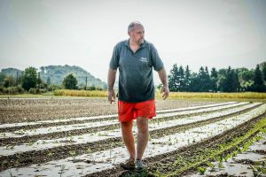 « Une saison comme celle-là, je n’en ai jamais connu » : l’été brûlant d’une exploitation maraîchère du Béarn