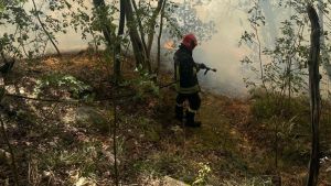 Como, a fuoco il Monte Goi: pompieri mobilitati per domare le fiamme che stanno distruggendo la collina della Spina Verde