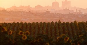 The Board of Peace Road Map for Gaza Gives Hope