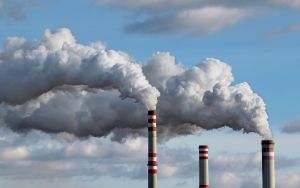 Who should build the low-carbon economy?