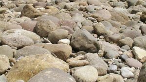 Caldo record e siccità. Allerta sull’acqua: 