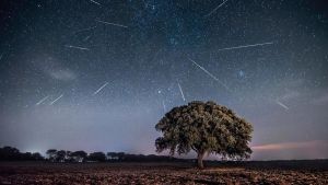 «A la meva terra hi ha una pluja d’estels»