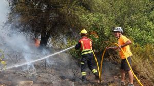 Directo | Los incendios de Niebla (Huelva) y Huesca suman más de 39.000 hectáreas quemadas