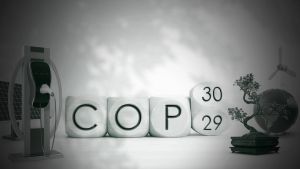 Behind the Scenes: Unveiling Paradiplomacy in the Climate Conference of the Parties