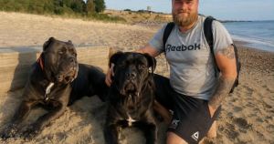 Investigation into death of man who died after his dogs were put down still ongoing