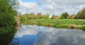 Wild swimming event cancelled after concerns over sewage near bathing spot