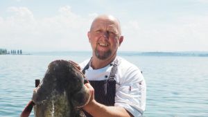 Wels als Gourmetgericht: Warum Köche und Fischer vom Bodensee das Tier lieben