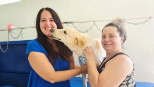 Toelettatura gratis per i cani abbandonati: «Così li aiutiamo a trovare una famiglia»