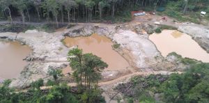 Dans les mines d’or de Guyane, le bilan mitigé de la réhabilitation des sols