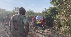 'Worst blaze in decades' devastates Mousehold Heath