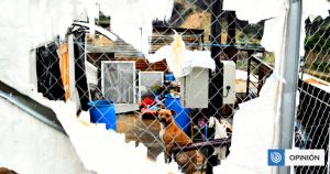 Protección social: el verdadero motor detrás de la caída de la pobreza en Chile