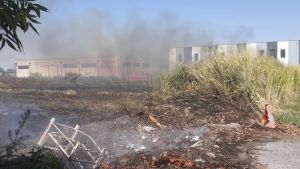Ceggia, quattro incendi in pochi giorni: arrestato piromane