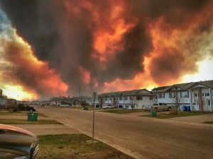 Opinion: We survived the fire. Who will help us survive the recovery?