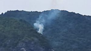 Il cielo si fa grigio: fumo visibile a chilometri e fiamme nella notte | Le immagini