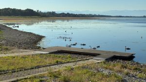 Ruderverein Friedrichshafen stellt wegen niedrigem Pegel den Betrieb auf dem Wasser ein