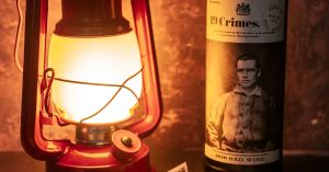 The Psychology of True Crime and Emotional Regulation