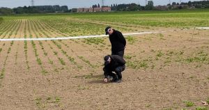 The extraordinary riddle behind discovery of partial remains in Norfolk field
