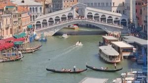 Venezia ha un nuovo ospite: come tutelare il delfino del Canal Grande