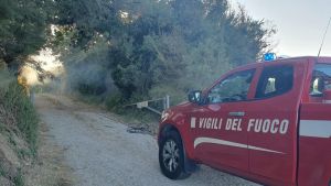 Incendi a Gimarra, è allarme piromane: 