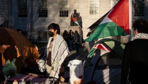 Democrats turn their DEI strategy toward Muslim voters