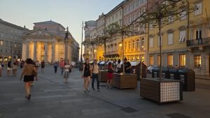 Gli alberi in vaso sì o no? L’iniziativa divide Trieste: ecco i risultati definitivi del nostro sondaggio