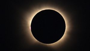 No hay luna que eclipse a tanto imbécil