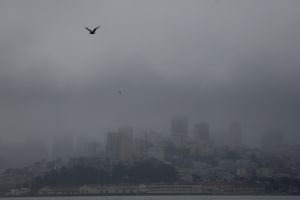 4,000-foot-deep marine layer brings wet weather to Bay Area