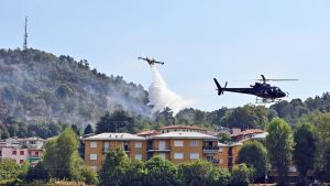 Vento, siccità e sottobosco secco: così il Monte Goj ha preso fuoco. Incendio ridimensionato, ma i timori restano