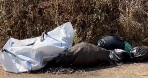 Bags of rubbish found dumped as two fly-tips discovered in one day in coastal town