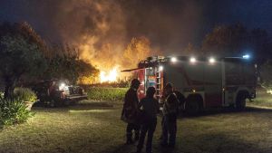 Paura a Domagnano: nella notte brucia la pineta