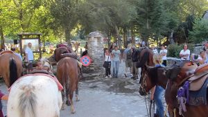 Domani a Campocatino la “Festa dei pastori“ e il cane delle Apuane