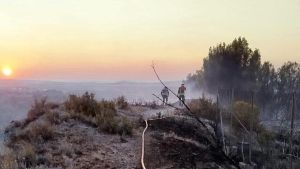 La solidaridad también consiste en prevenir