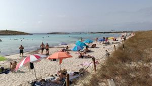 Sazón del verano