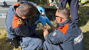 Controlli su scarichi e rifiuti. Irregolari due aziende su tre. Sanzioni per 25mila euro