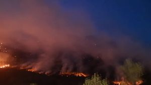 Notte in auto per salvare la fattoria e fumo sulle case: le storie dei residenti di Amaro assediati dal fuoco