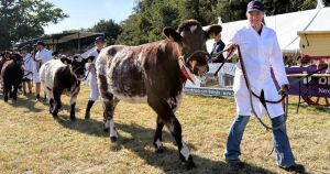 Aylsham Show set to bring thousands of Bank Holiday visitors to Blickling Park