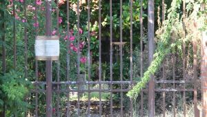 Due mesi dall’omicidio di Chiara Guerra: il giardino abbandonato e l’arma del delitto mancante