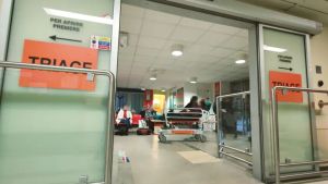 Rissa e accoltellamento in Piazza Unità a Trieste: giovane ferito alla testa nella notte
