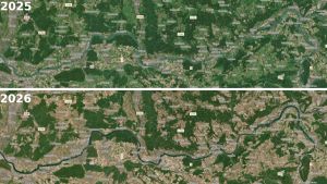Was für ein Unterschied! Satellitenbilder zeigen, wie viel grüner die Region vor exakt einem Jahr war