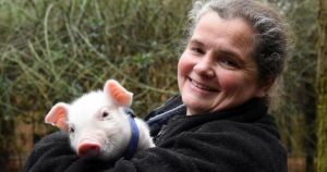 Former Norfolk sanctuary boss due in court on animal welfare charges