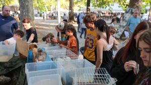 Gradisca in festa per la 60ª Mostra Ornitologica: il centro si riempie di visitatori a Ferragosto